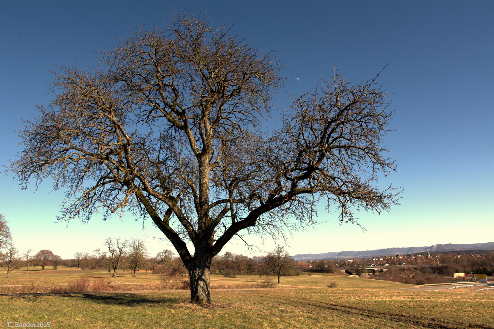 Februar-Sonne