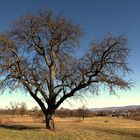 Februar-Sonne