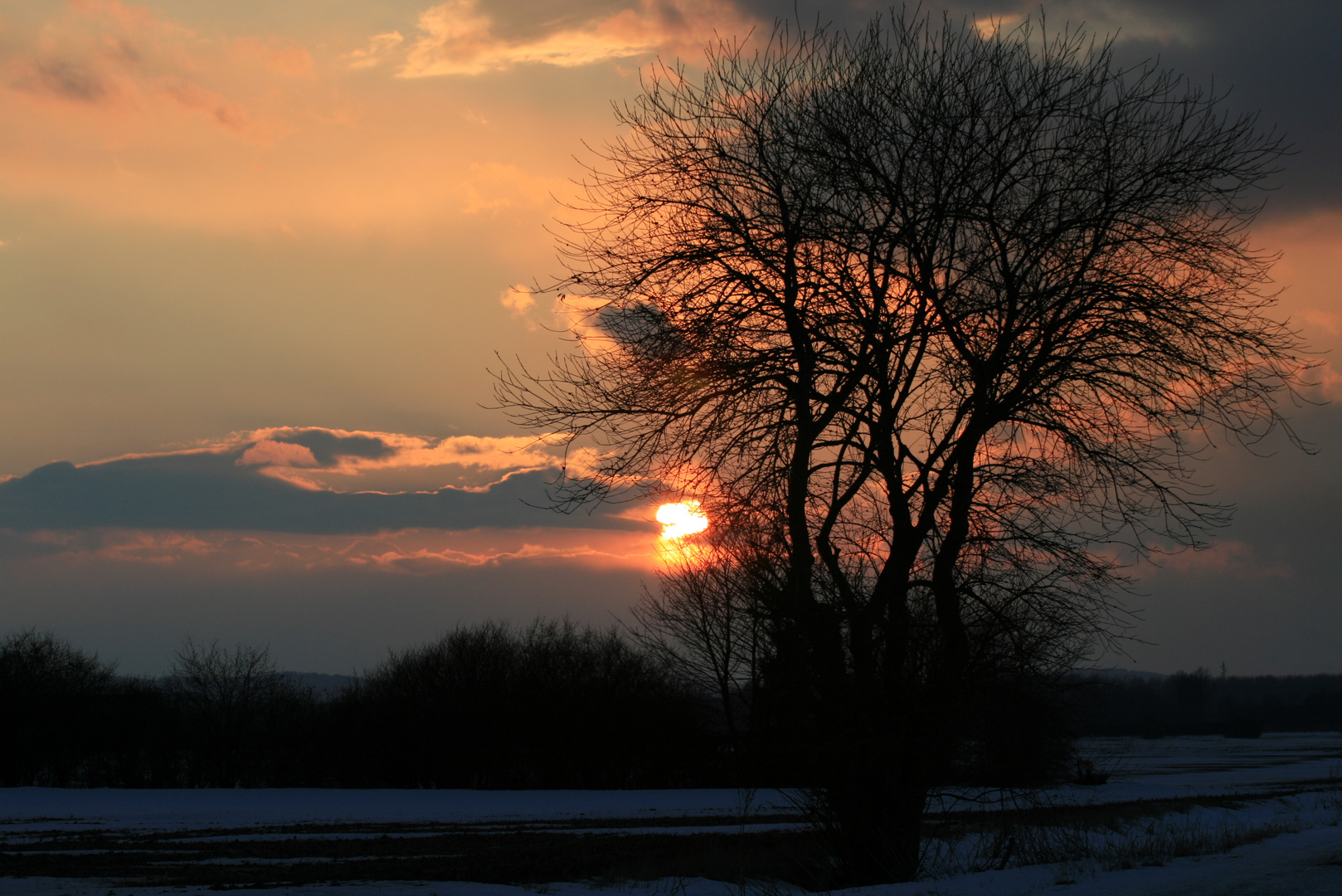 Februar Sonne