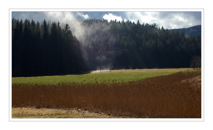 +++ Februar-Sonne +++