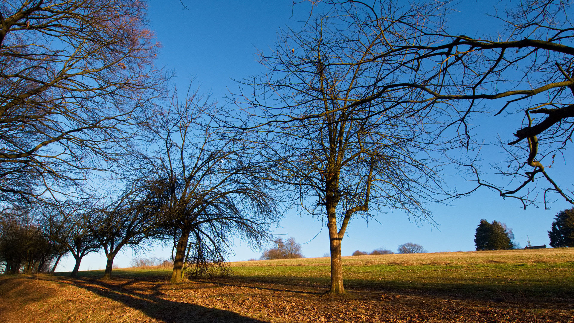 Februar Spaziergang 2