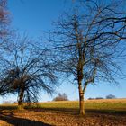 Februar Spaziergang 2