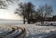 Februar - "Spuren im Schnee"