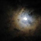 Februar Vollmond fast hinter Wolken