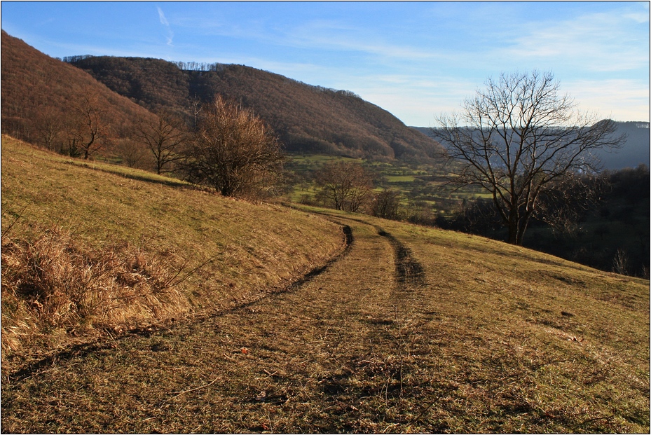 Februar Weg