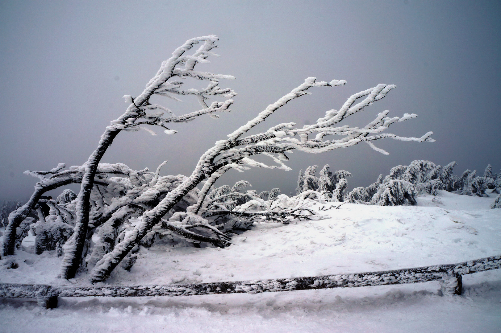 Februar - Westwind auf dem Brocken im Harz