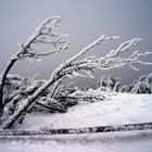 Februar - Westwind auf dem Brocken im Harz