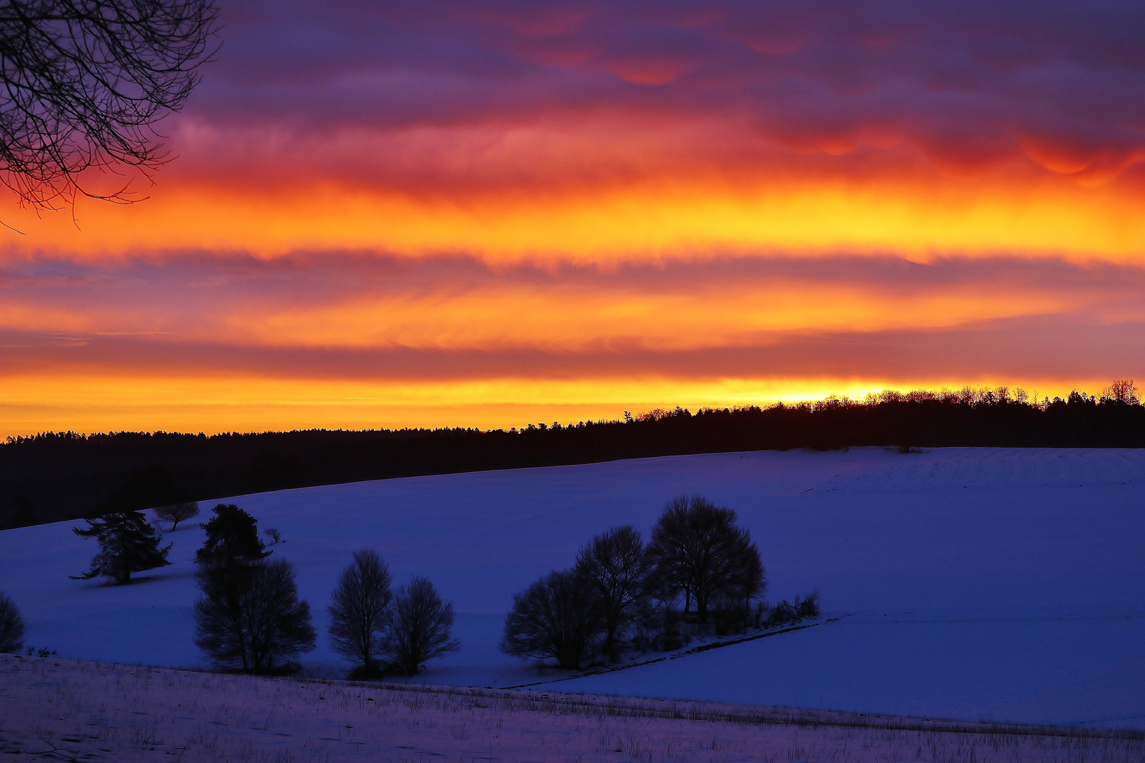 Februar- Wintermorgen