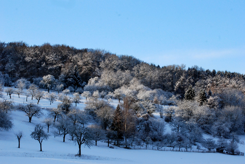 Februar "Wittumrain in weiß"