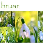 Februarfarben