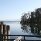 FEBRUARFRÜHLING-STARNBERGERSEE