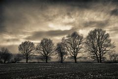 Februarlandschaft
