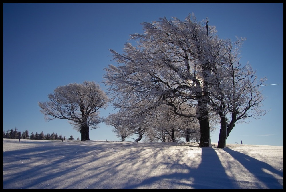 Februarlicht