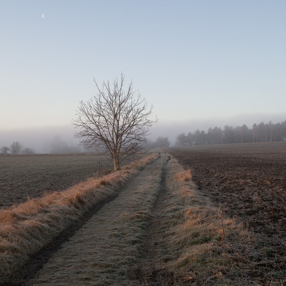 Februarmorgen