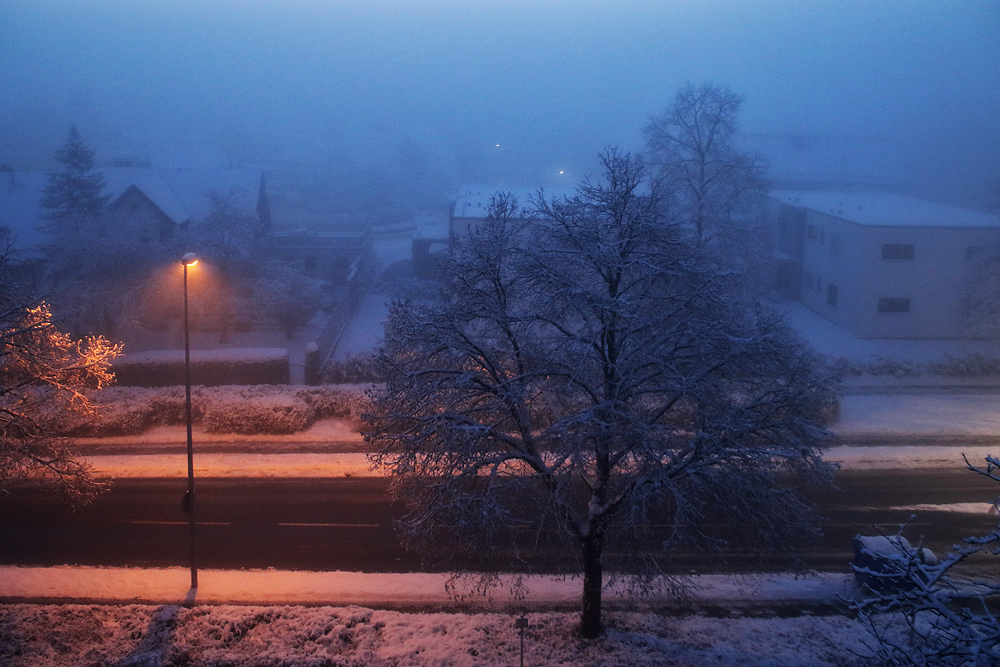 Februarmorgen