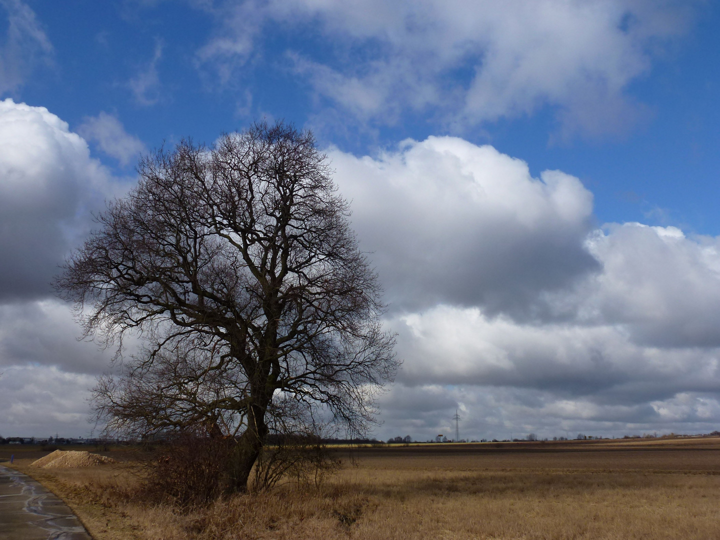 Februarmorgen