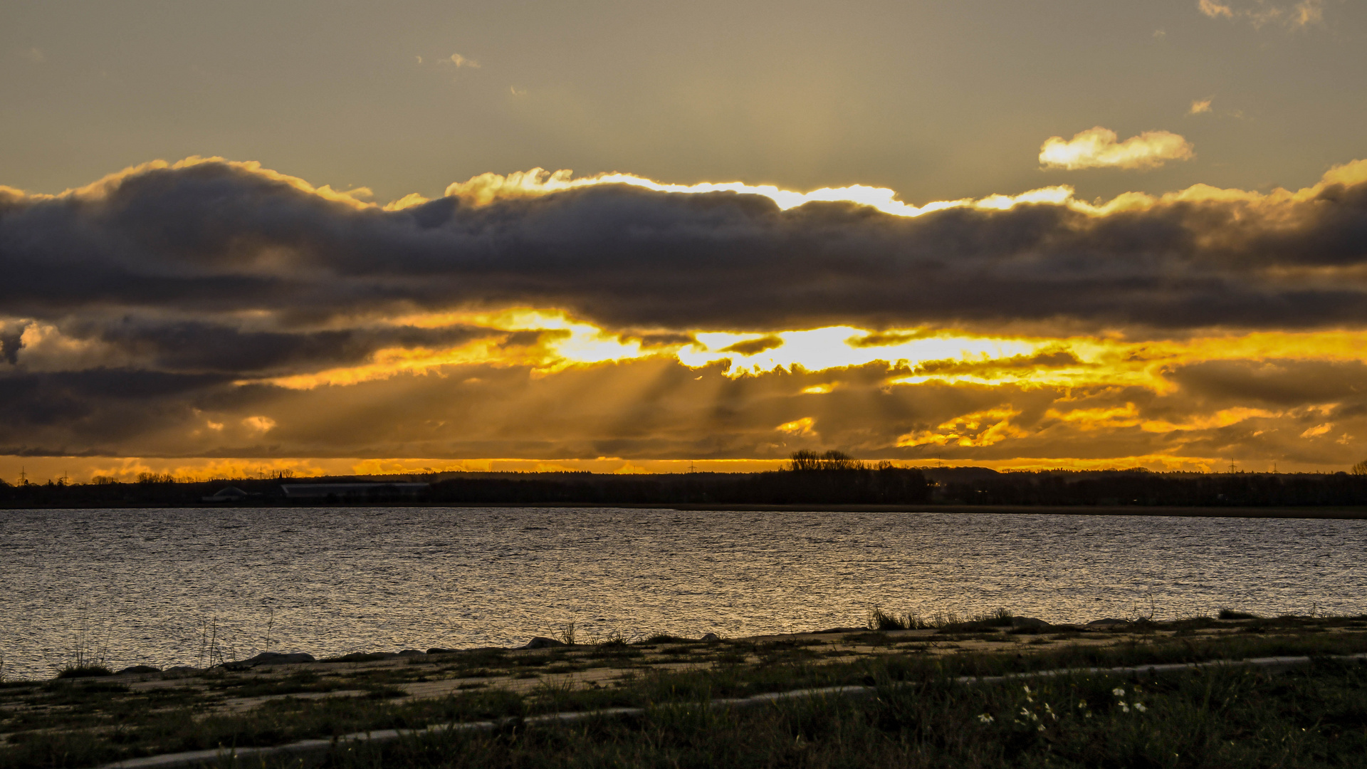 Februarmorgen am Bodden  