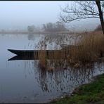 Februarmorgen am Meerfelder Maar