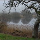 Februarmorgen am Meerfelder Maar II