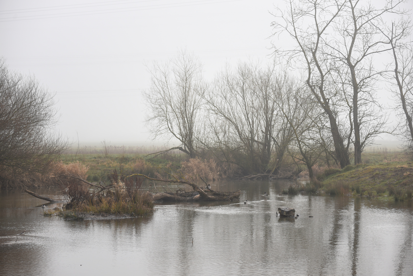 Februarmorgen an der Schwalm