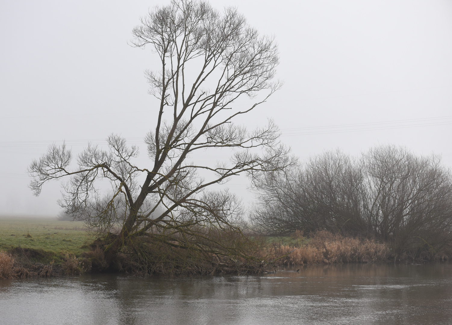 Februarmorgen an der Schwalm