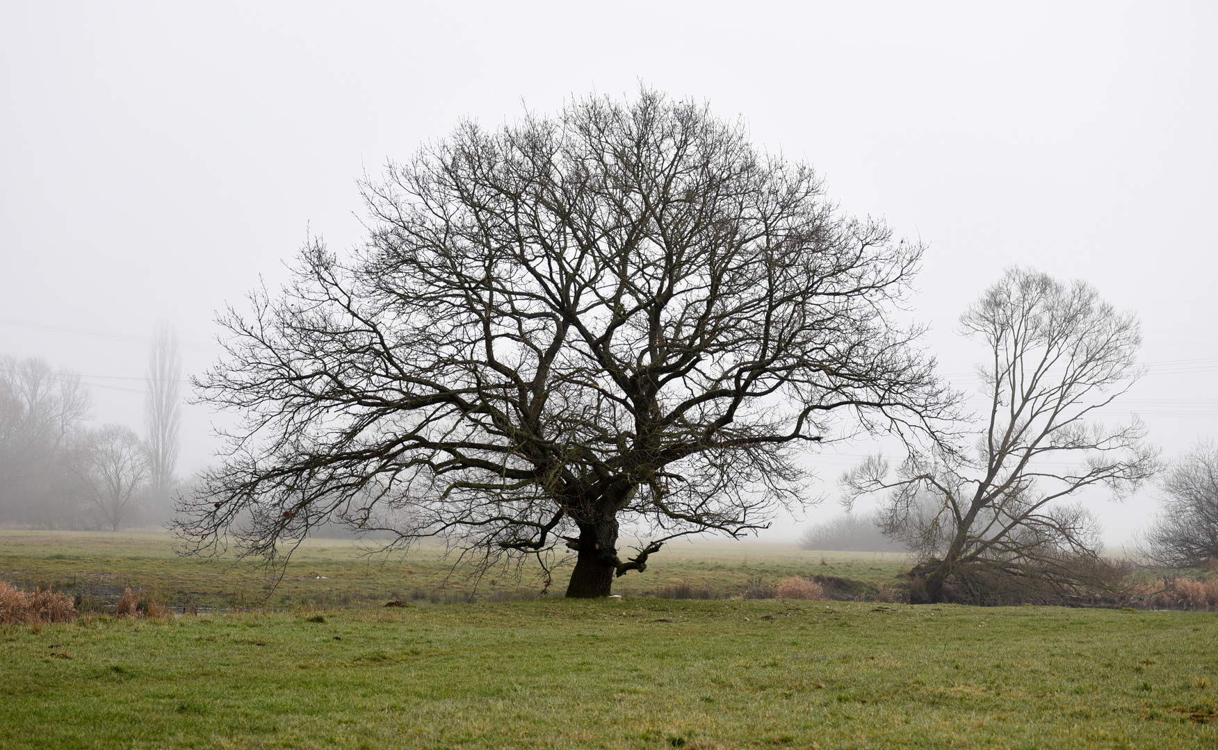 Februarmorgen an der Schwalm