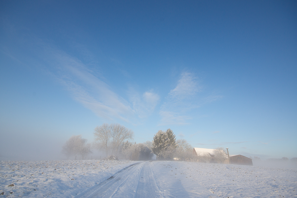 Februarmorgen auf dem Dorotheenhof