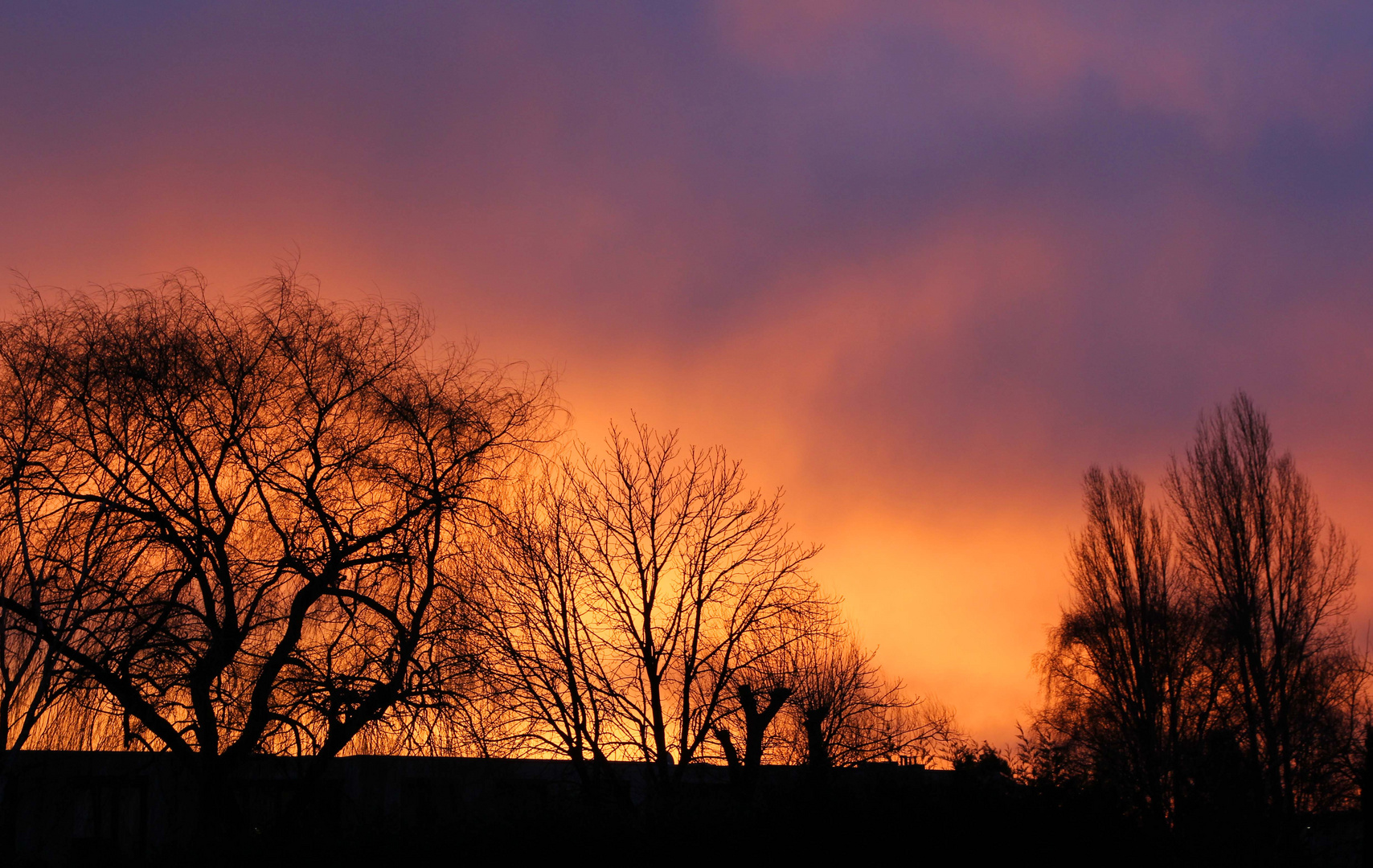 Februarmorgen