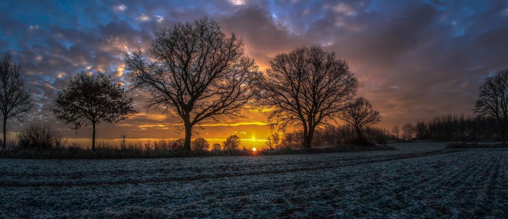 Februarmorgen II