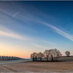 Februarmorgen im Kraichgau