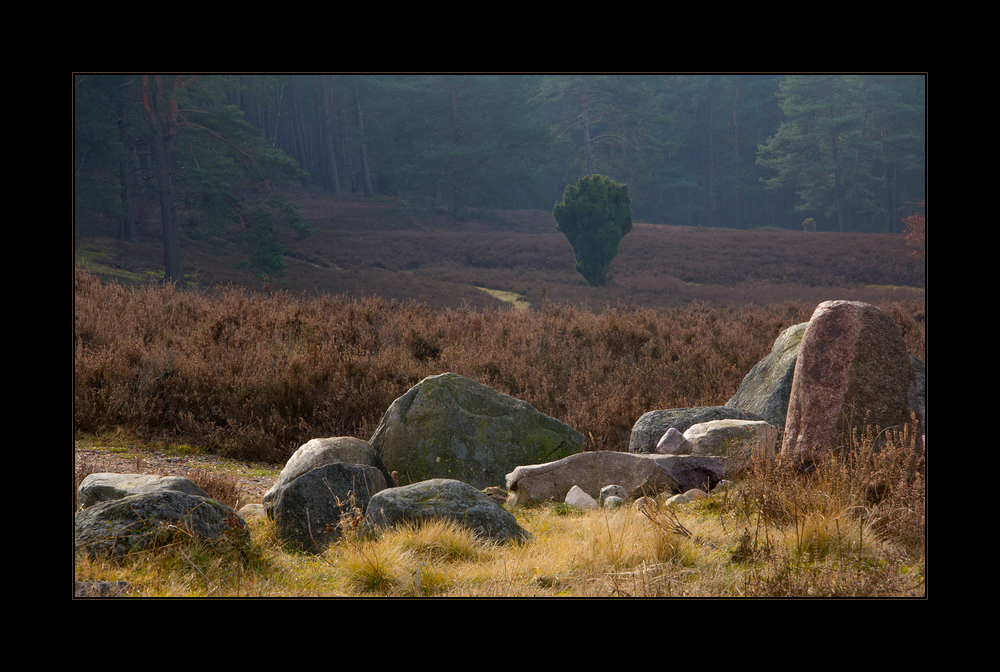 Februarmorgen in der kleinen Heide... (Variante 1 - Goldener Schnitt)