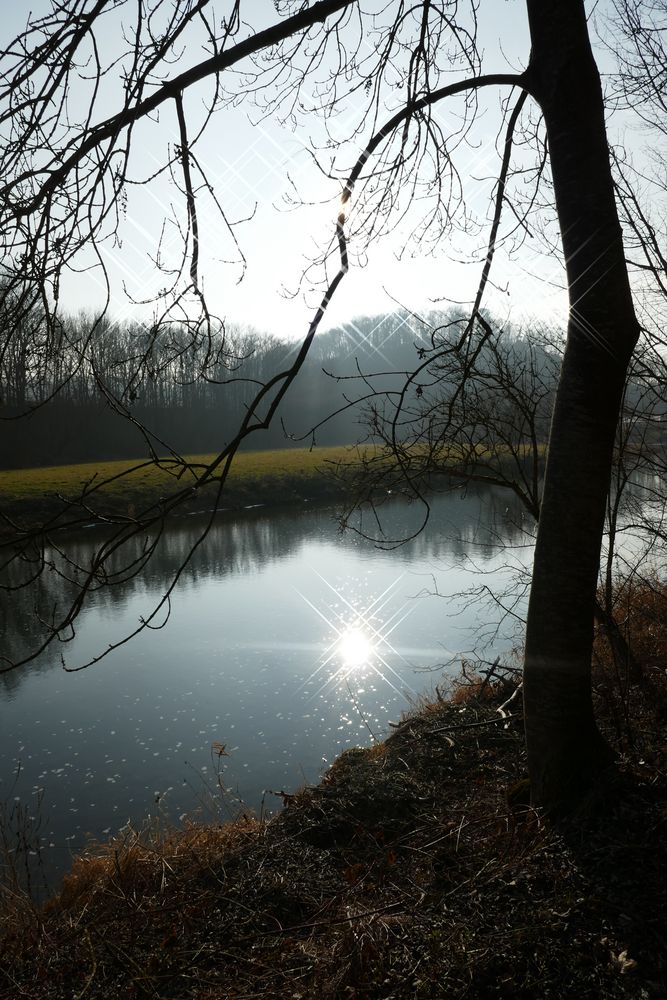 Februarnachmittag an der Jagst