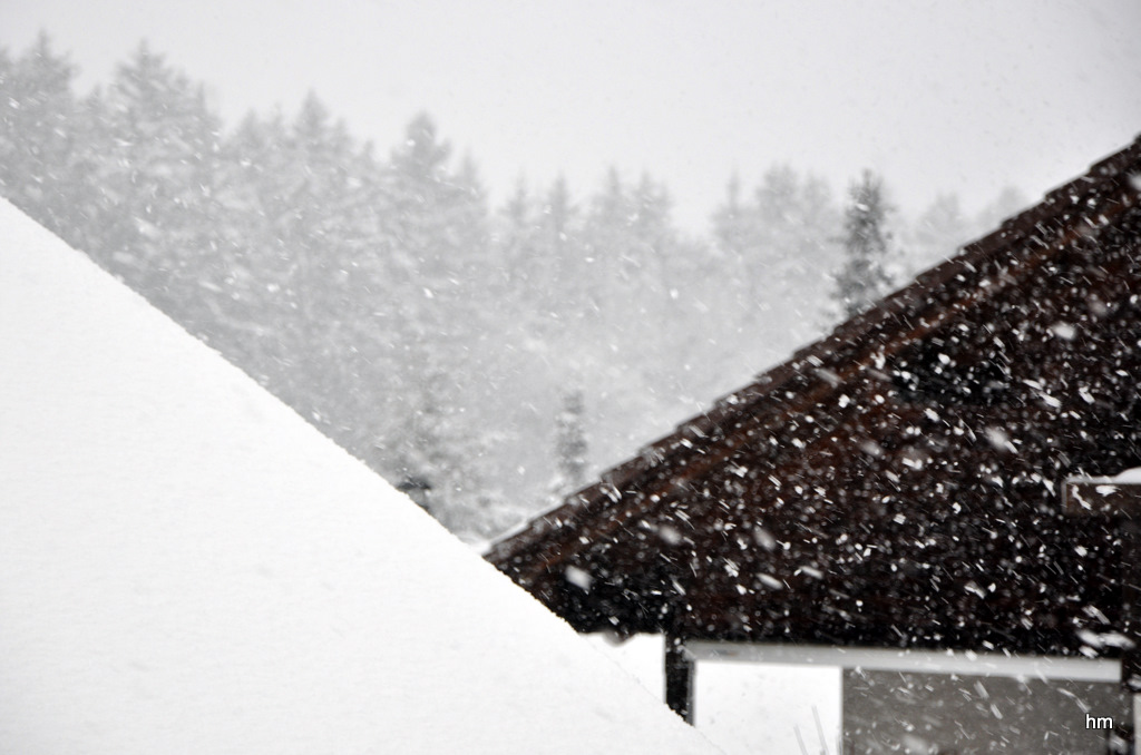 Februarschneetreiben -3-