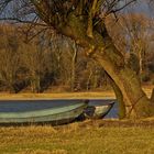 Februarsonne am Rhein