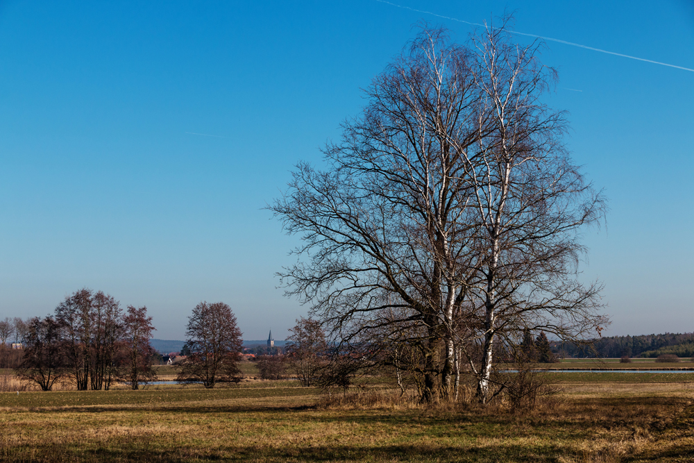 Februarsonne