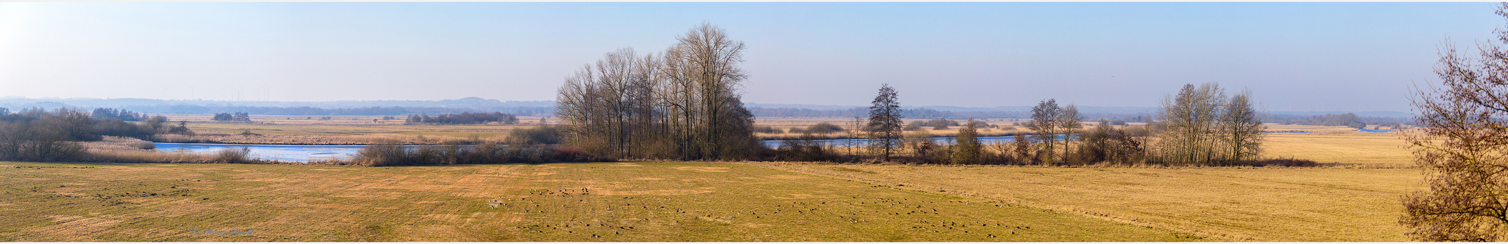 Februarsonne über dem Teufelsmoor