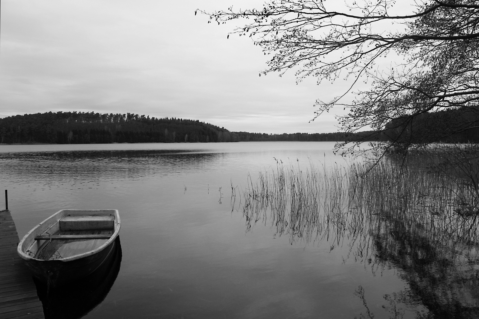 Februartag am Springsee