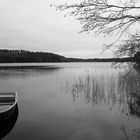 Februartag am Springsee