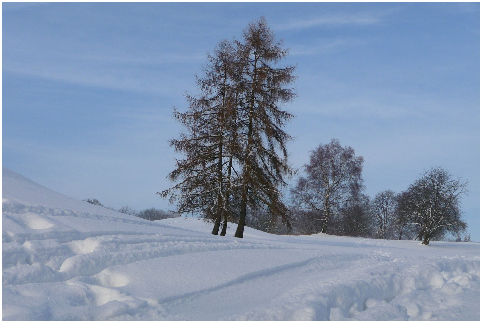 Februarweiß (II)