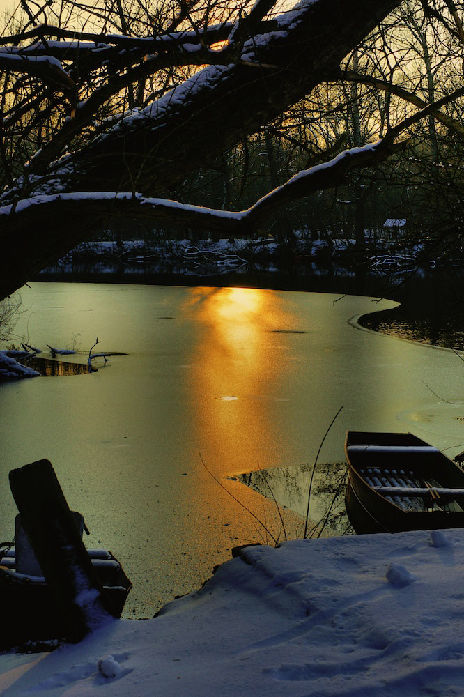 February Afternoon