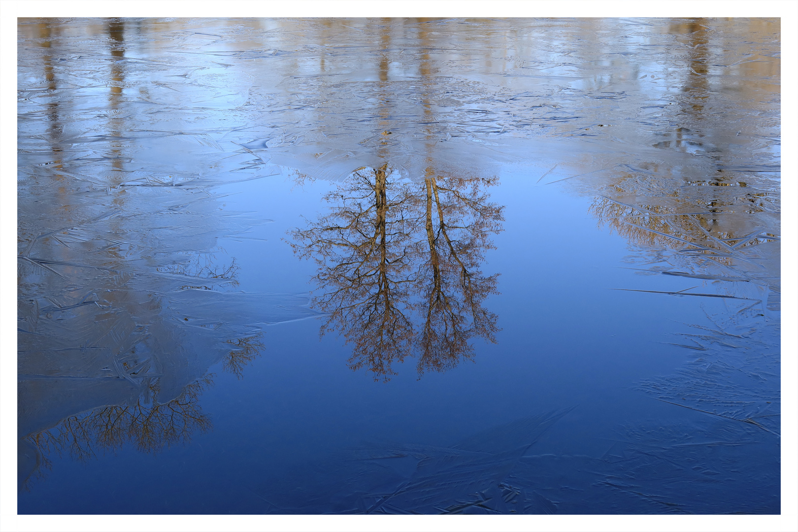 February Blue