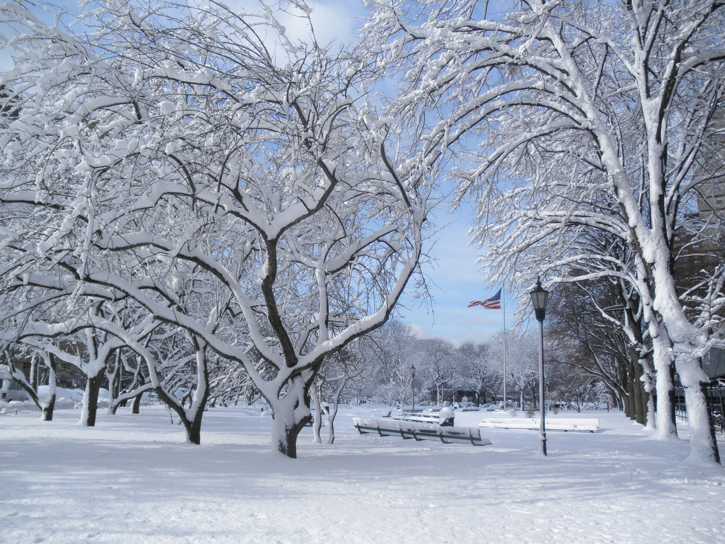 February in Brooklyn