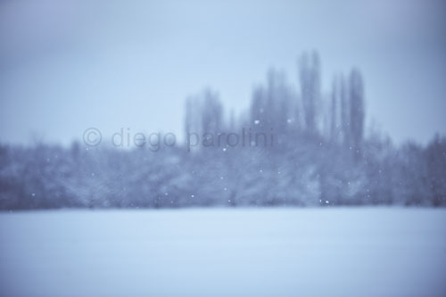 February Snow