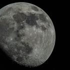 Feburuar-Mond