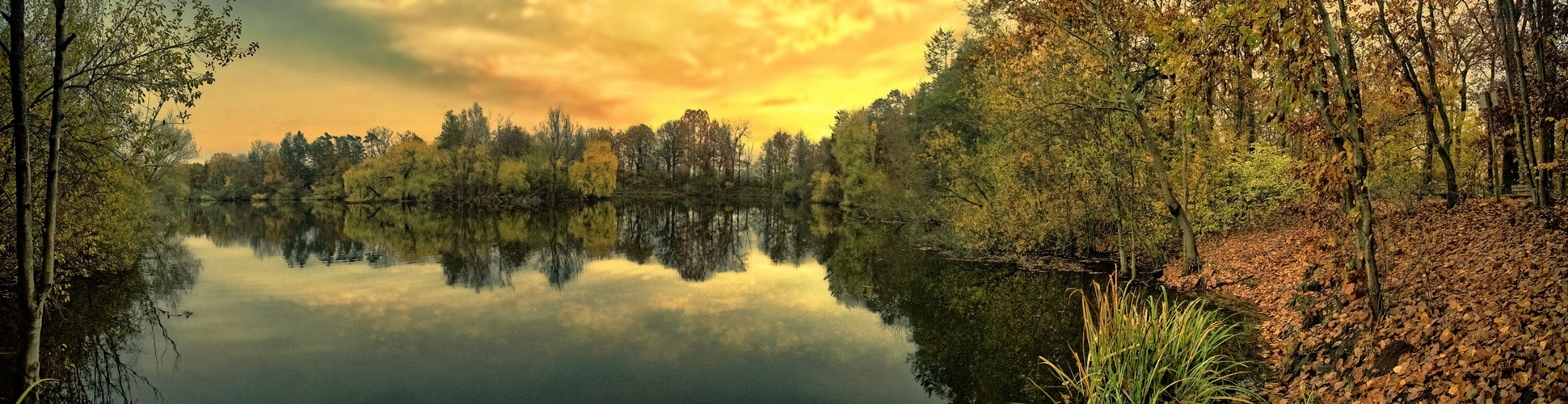 Fechenheimer Weiher ( Frankfurt )