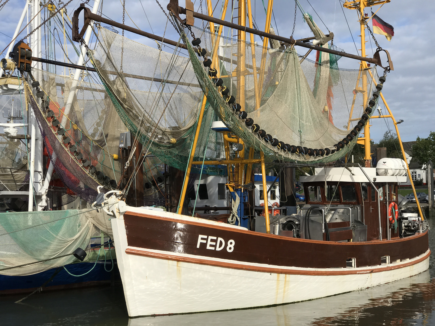 FED8 - Fischerei im Detail