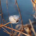 Feder im Wind