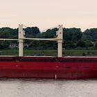 FEDERAL KIBUNE / Bulk Carrier