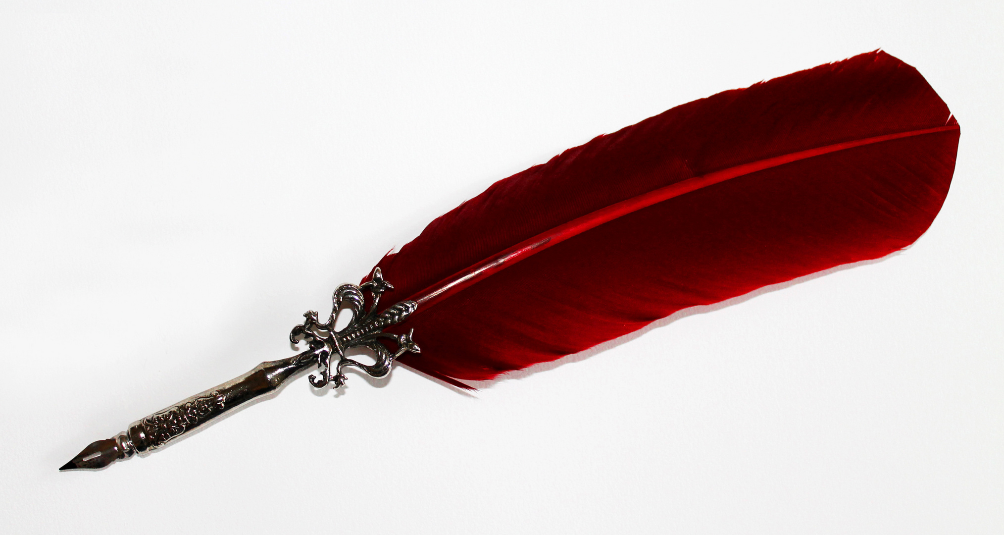 Federkiel Foto & Bild stillleben, schreiben und mehr, motive