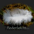 federleicht